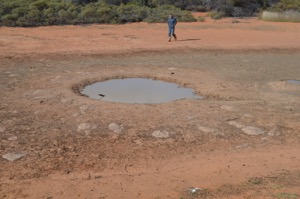 Queen Victoria Spring
